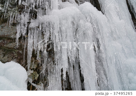 河原谷の大つらら　難所ヶ滝　福岡県宇美町 37495265
