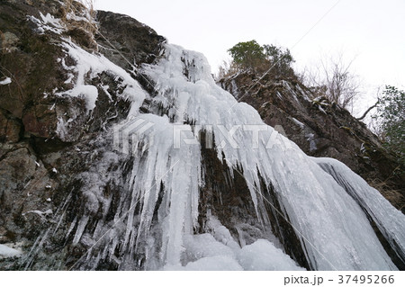 河原谷の大つらら 難所ヶ滝 福岡県宇美町 河原谷の大つらら 難所ヶ滝 福岡県宇美町 37495266