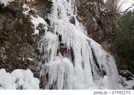 河原谷の大つらら　難所ヶ滝　福岡県宇美町 37495275