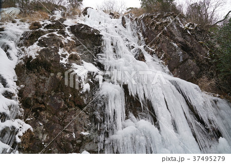 河原谷の大つらら　難所ヶ滝　福岡県宇美町 37495279