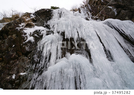 河原谷の大つらら　難所ヶ滝　福岡県宇美町 37495282