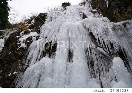 河原谷の大つらら　難所ヶ滝　福岡県宇美町 37495288