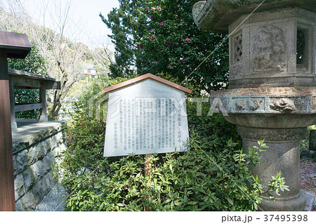 城願寺の七騎堂（神奈川県湯河原町） 37495398