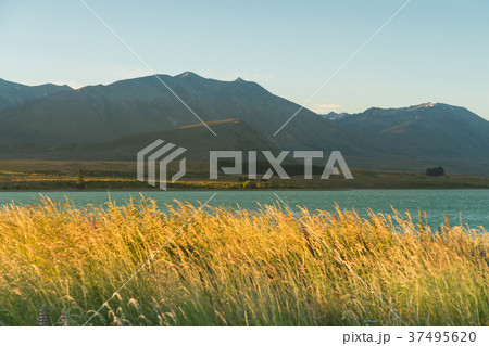 Tekapo Lake with mountain background 37495620