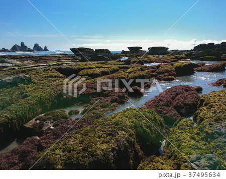 Motukiekie beach west coast south island 37495634