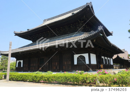 京都 建仁寺 京都 建仁寺 37496203