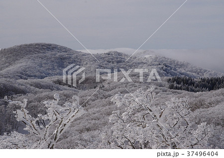 明神平・桧塚奥峰冬景色 37496404