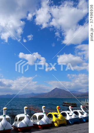 北海道 支笏湖 スワンボートの群れの写真素材