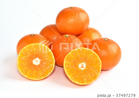 天草（あまくさ） 37497279