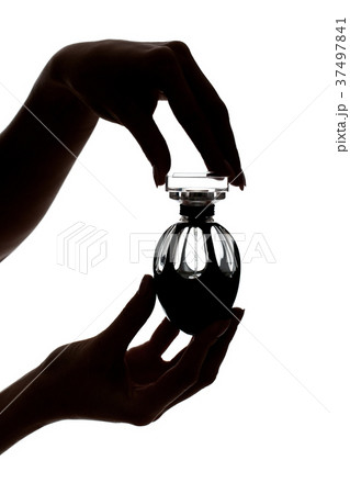 female hands holding a perfume bottle female hands holding a perfume bottle 37497841