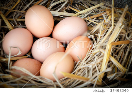 Group of raw eggs 37498340