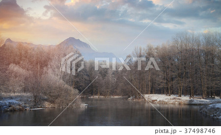 Forest in the background of mountains 37498746