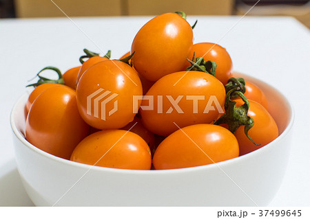 台湾 台北 台北市 37499645