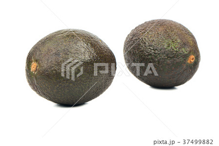 Two avocado Hass 37499882