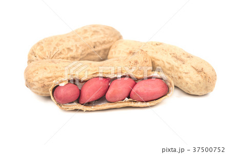 Peanuts in shell 37500752