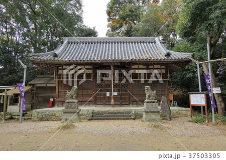 【杜本神社】 大阪府羽曳野市駒ヶ谷64 37503305