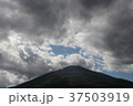 空 37503919