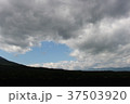空 37503920