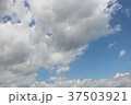 空 37503921