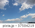空 37504219