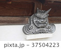 瓦 37504223