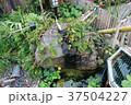 歴史 37504227