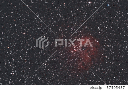 ぎょしゃ座の星雲 IC410 ぎょしゃ座の星雲 IC410 37505487