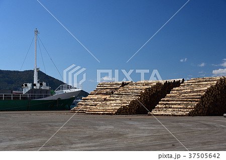 北海道函館市函館港中央ふ頭に貨物船に積み込む前の木材が積んである風景を撮影 37505642