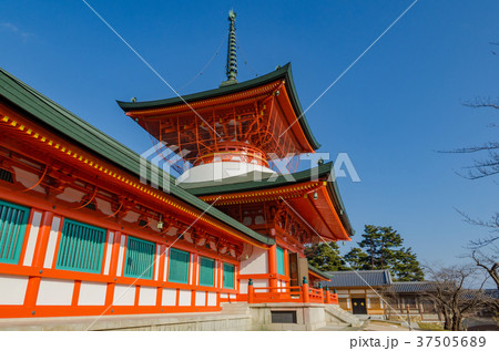 信州の神社仏閣 善光寺雲上殿 長野県長野市の写真素材