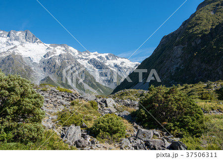 マウントクック国立公園のフッカーバレートラック 37506311