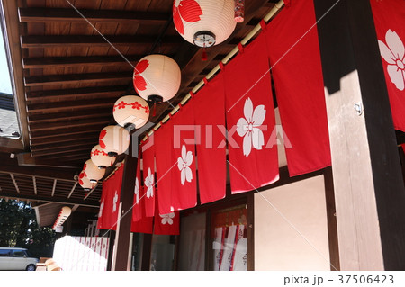 櫻木神社 櫻木神社 37506423