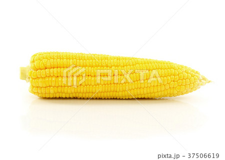 Corn isolated on white background Corn isolated on white background 37506619