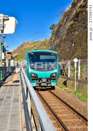 青森 JR五能線千畳敷駅とリゾートしらかみ 青森 JR五能線千畳敷駅とリゾートしらかみ 37506741