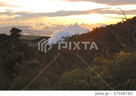 キナバル山の夕暮れ（サバ州／東マレーシア･ボルネオ島） 37506785