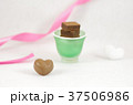 バレンタインデー 37506986