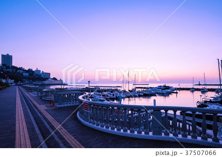 熱海の夜明け （８月） 37507066
