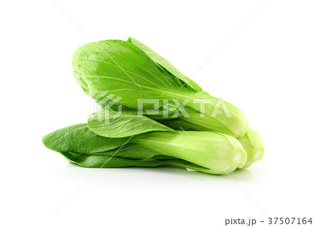 Bok choy (chinese cabbage) isolated on white Bok choy (chinese cabbage) isolated on white 37507164