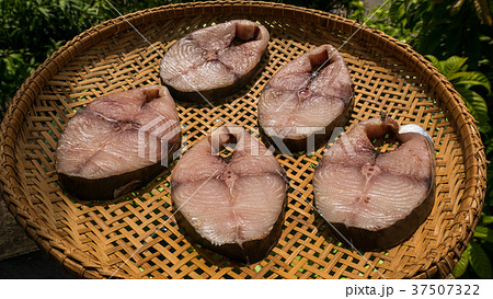 Dried Scomberomorus fish in threshing basket  37507322