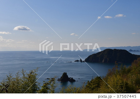 横浪黒潮ラインからの横浪半島 37507445