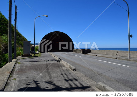 海岸道路のシェルター 海岸道路のシェルター 37507689