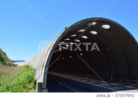 海岸道路のシェルター 37507691