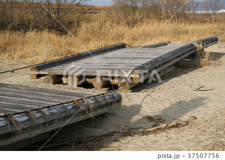 八幡流れ橋　流出後 37507756