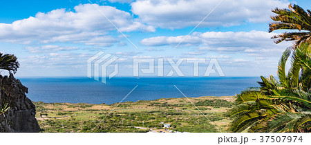 沖縄県 国頭郡 大石林山 沖縄県 国頭郡 大石林山 37507974