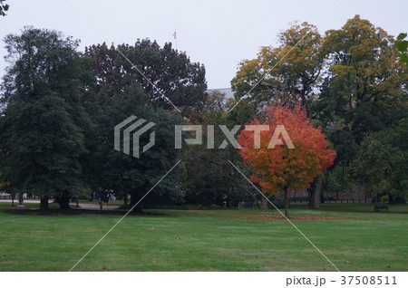 ワシントン 国会議事堂周辺の風景 37508511