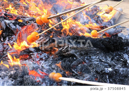 さいと焼き 37508845