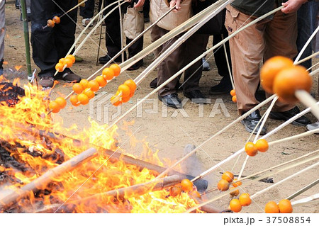 どんど祭のみかん焼き どんど祭のみかん焼き 37508854