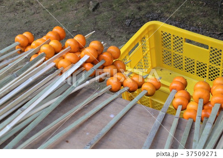 竹串に刺したミカン 37509271