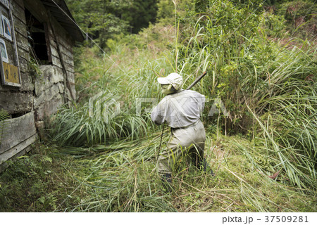 奥播磨かかしの里 農業をするかかし 兵庫県姫路市安富町関地区 の写真素材