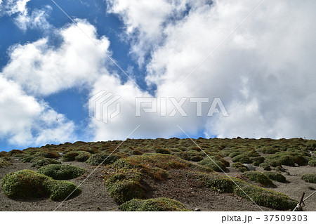 霧島山 霧島山 37509303