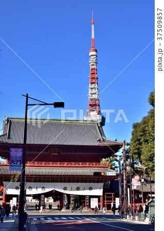 増上寺の三解脱門 37509857